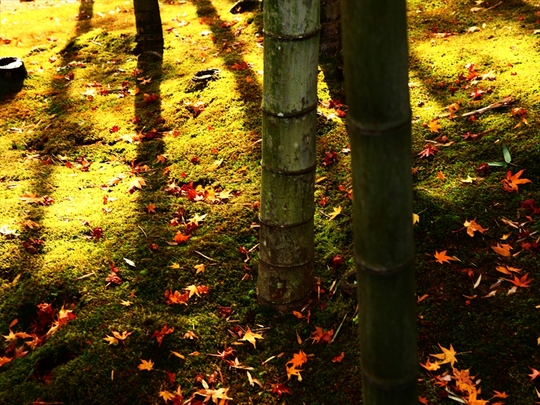 c0146510_2273515.jpg