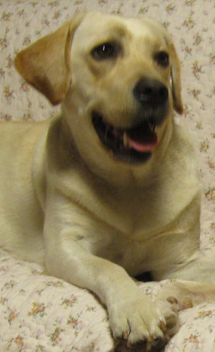 e0244621_2324419.jpg