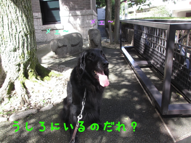 c0237824_1215152.jpg