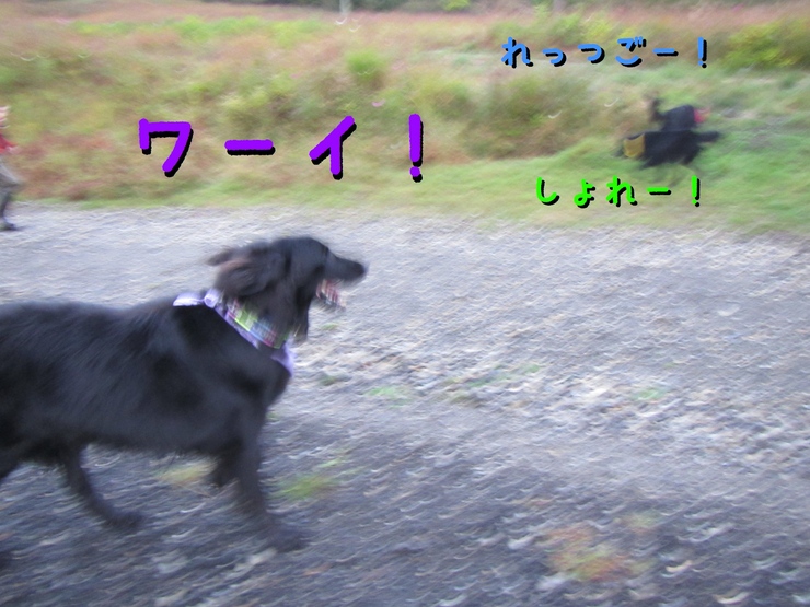 c0237824_12352237.jpg