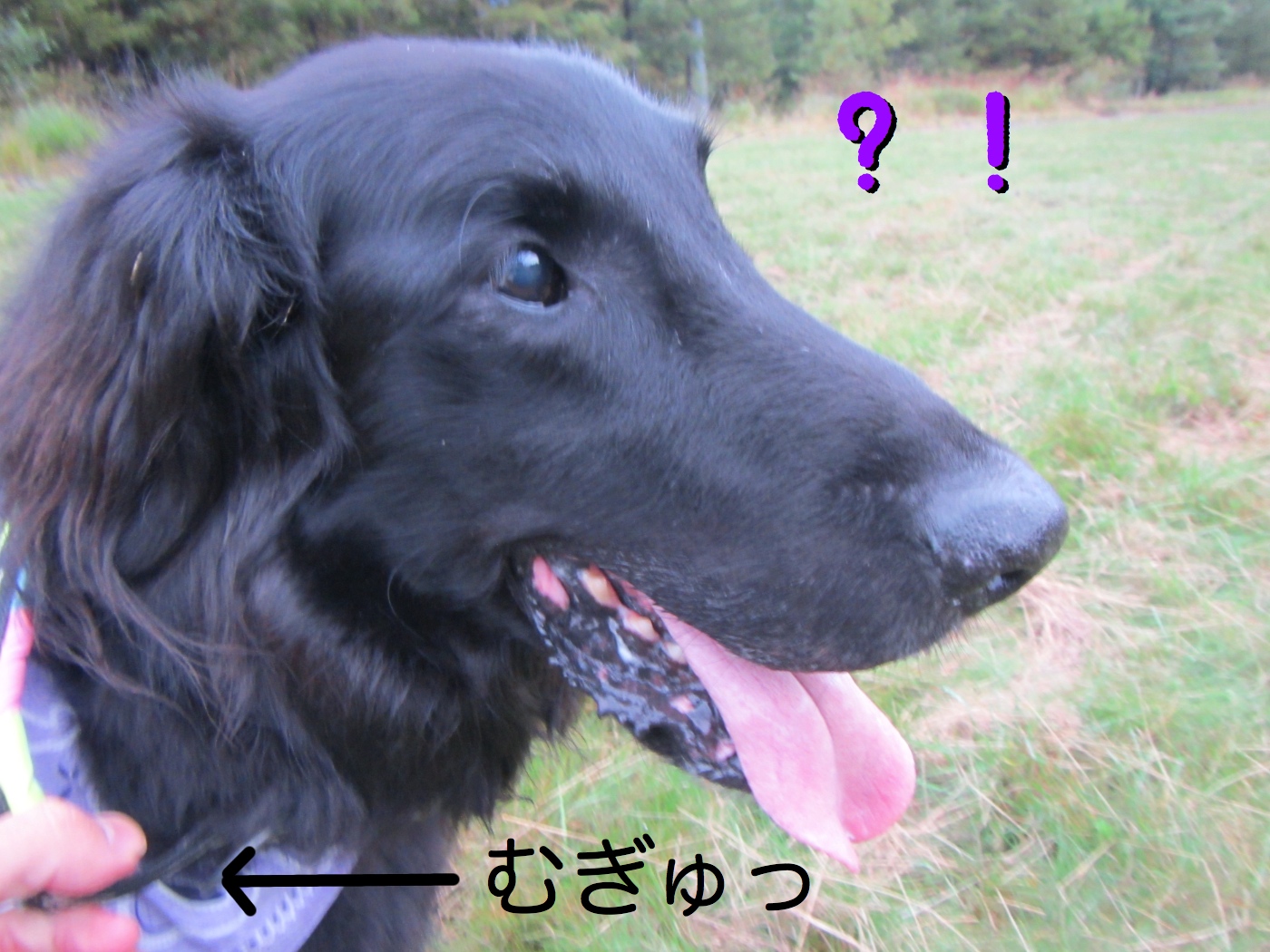 c0237824_12375912.jpg