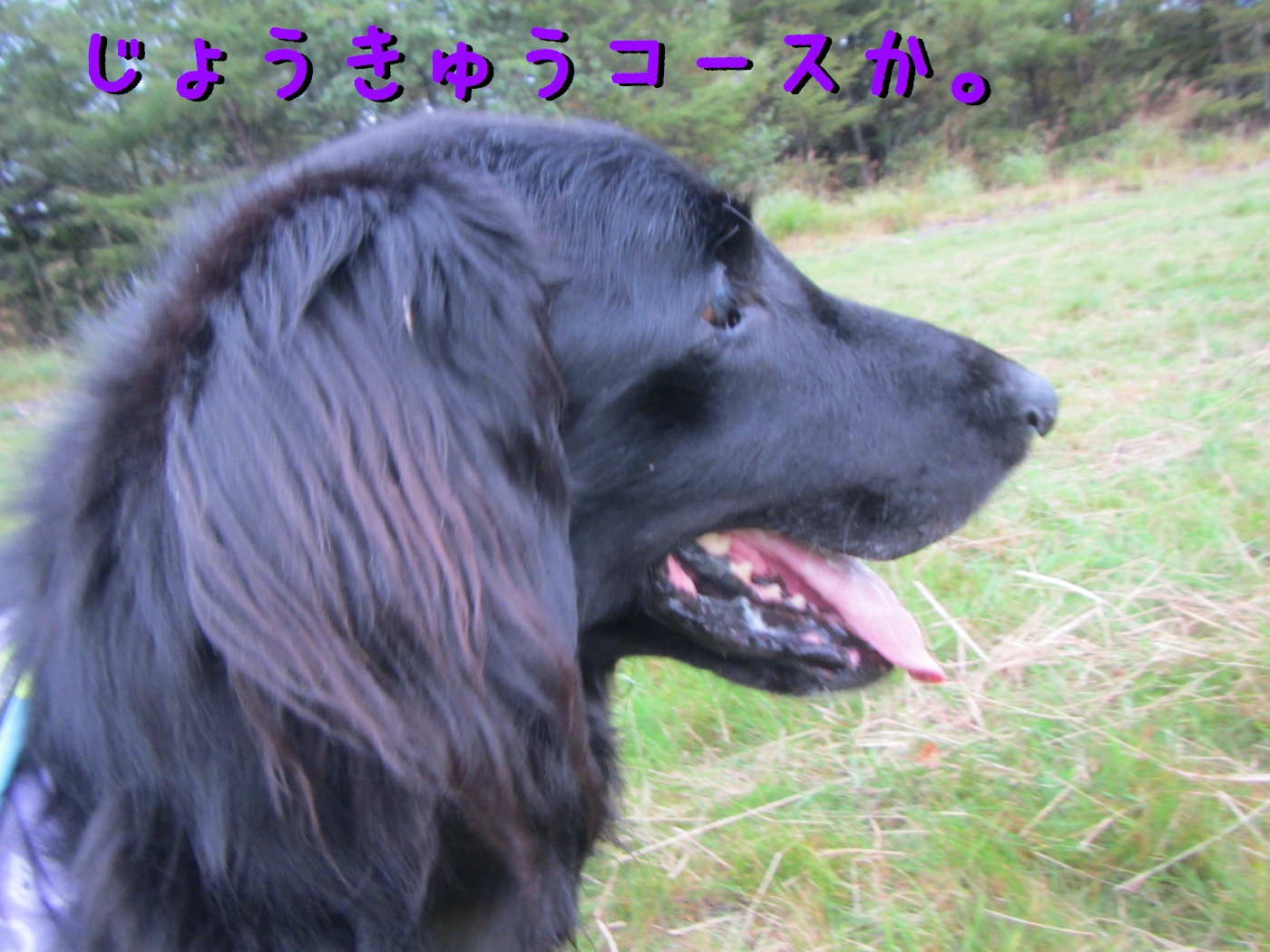 c0237824_1237753.jpg