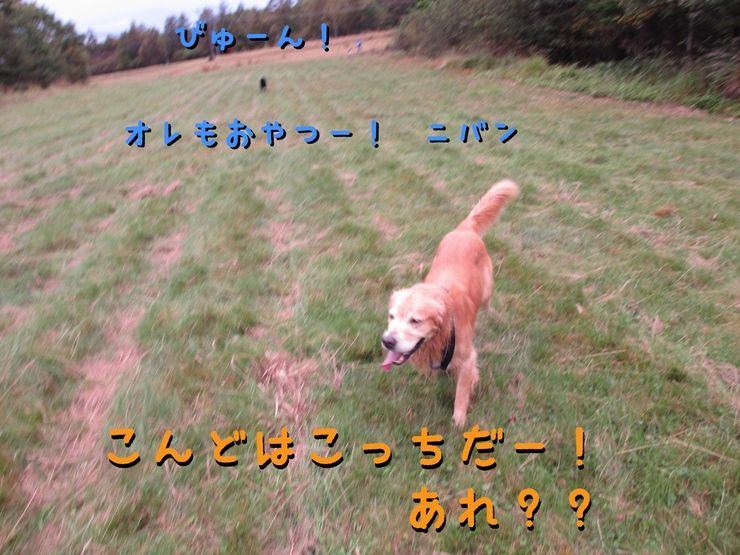 c0237824_12463051.jpg