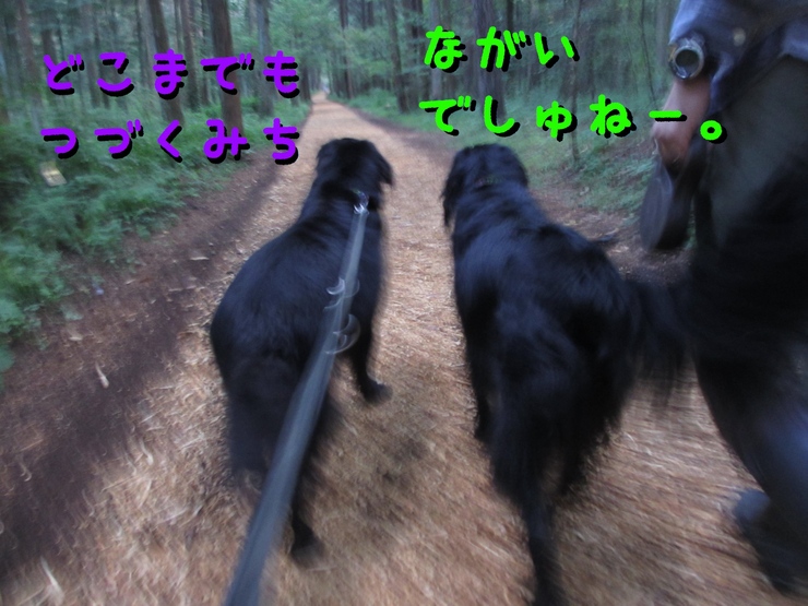 c0237824_23505276.jpg