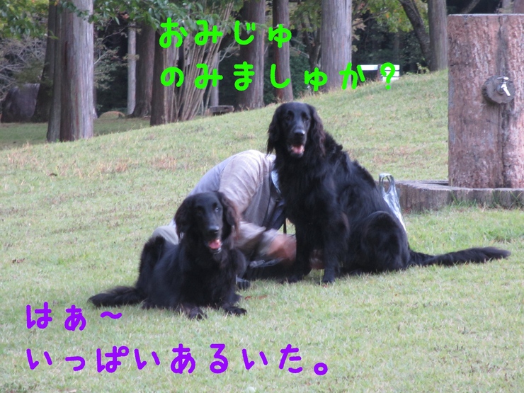 c0237824_235248.jpg