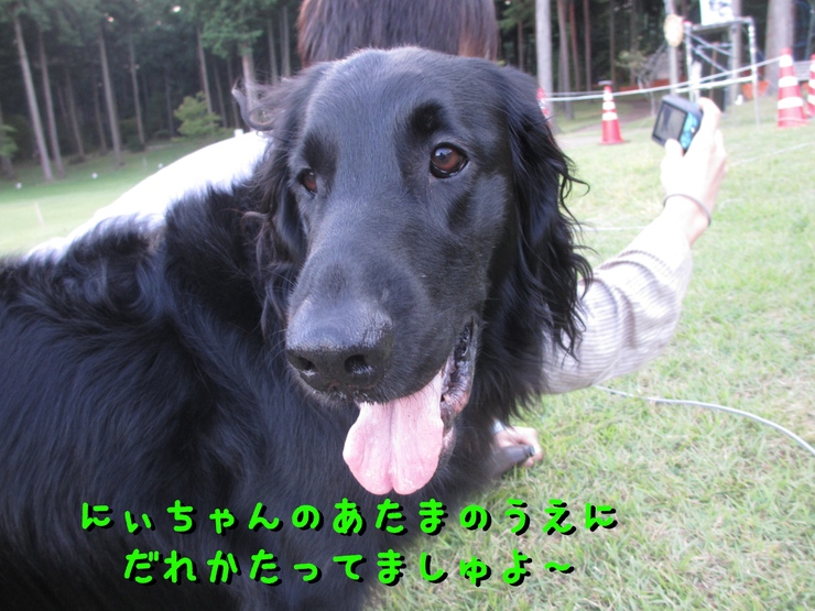 c0237824_2356463.jpg