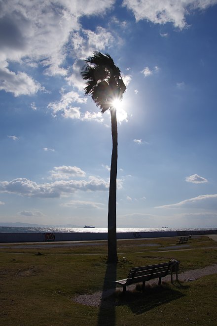 b0134829_029381.jpg