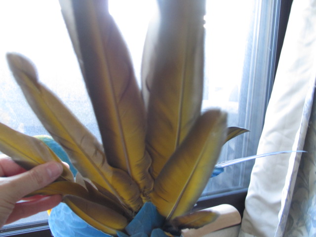 e0107730_16514100.jpg