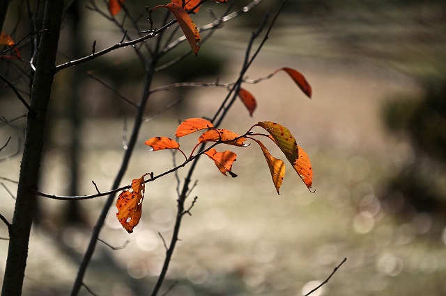 a0242438_21344492.jpg