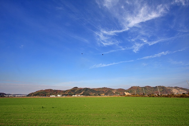 a0242438_21362014.jpg
