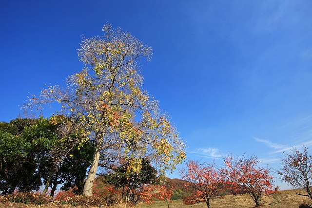a0242438_21365179.jpg