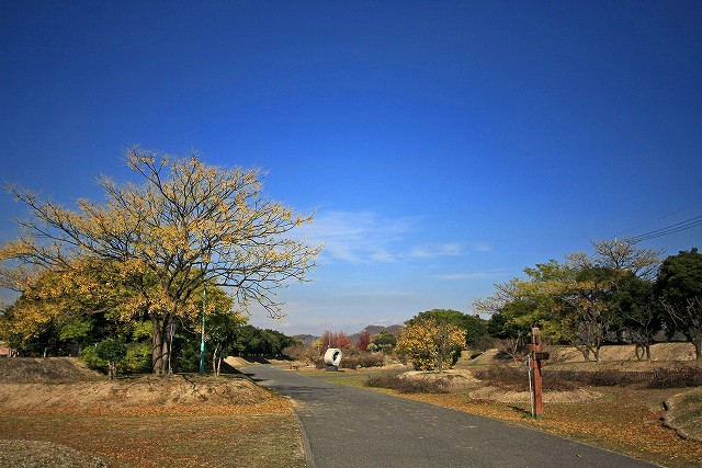 a0242438_21375237.jpg