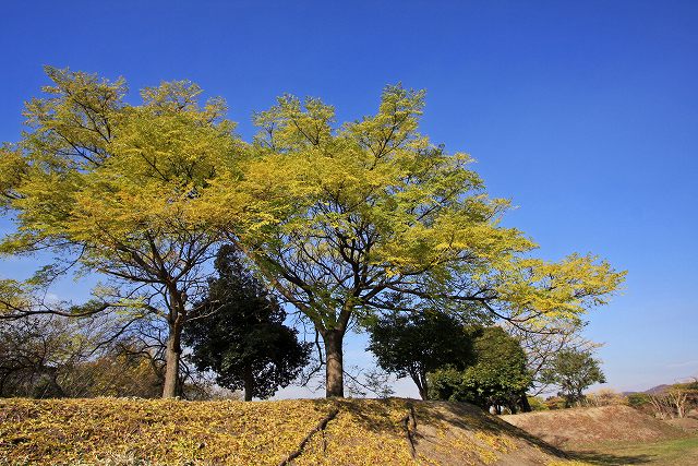 a0242438_2137539.jpg