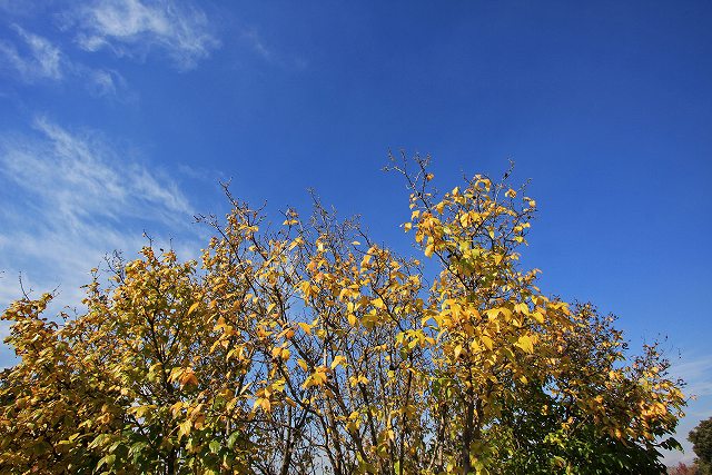 a0242438_2138837.jpg