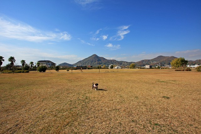 a0242438_21393567.jpg