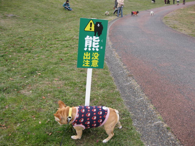 f0090344_1556274.jpg