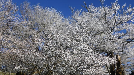 c0042847_131639.jpg