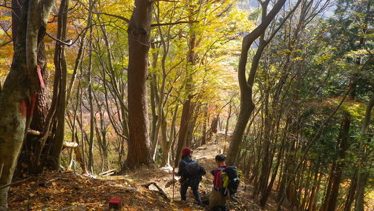 c0042847_13312263.jpg