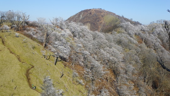 c0042847_13463621.jpg