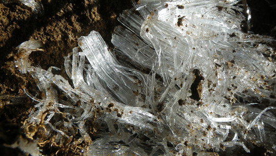 c0042847_1347573.jpg