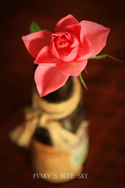 c0145250_10313995.jpg