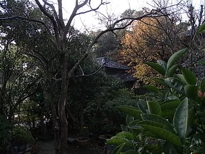 f0168256_830419.jpg