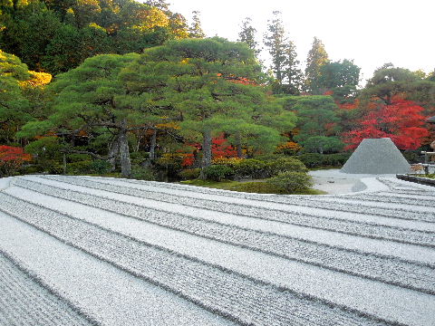 e0088260_221686.jpg