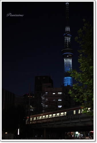 b0138661_0342320.jpg