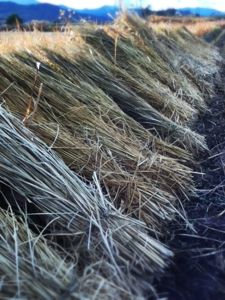 d0136664_2222016.jpg