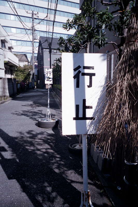 c0084666_2052351.jpg