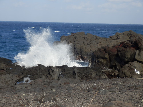 e0292172_2015262.jpg