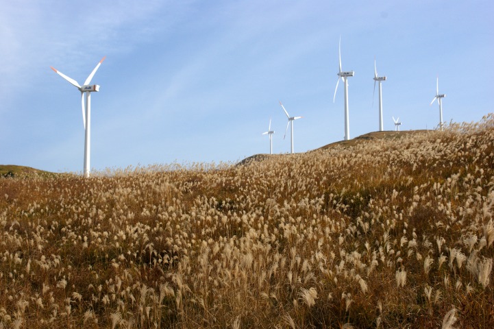 c0248473_1125343.jpg