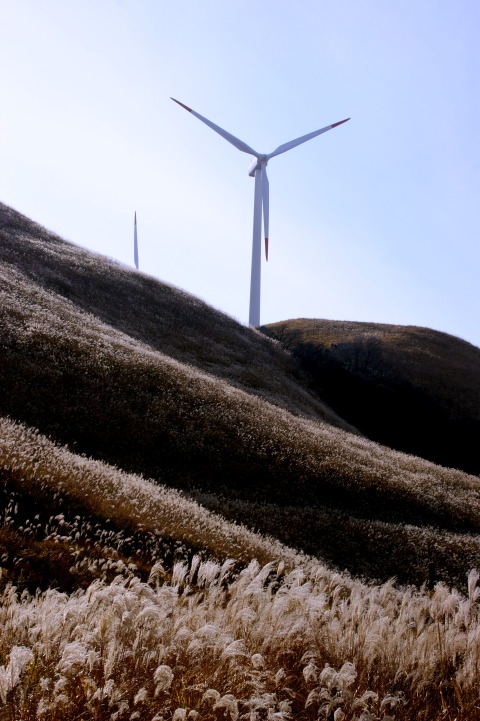 c0248473_11281691.jpg