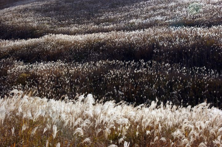 c0248473_11283252.jpg