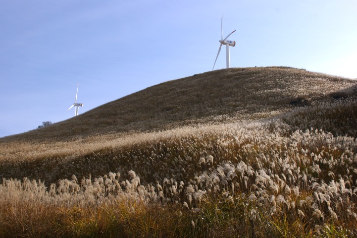 c0248473_1128332.jpg