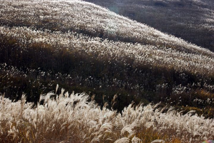 c0248473_11284837.jpg