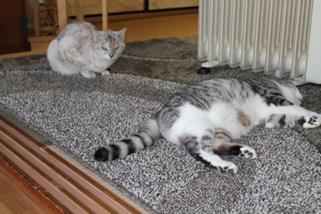 f0054677_943184.jpg