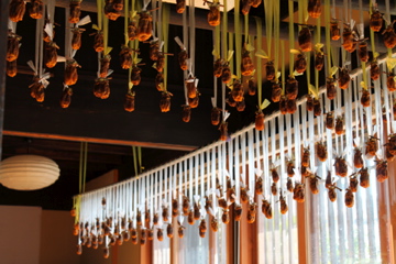 f0054677_944210.jpg
