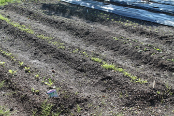 f0054677_9461988.jpg