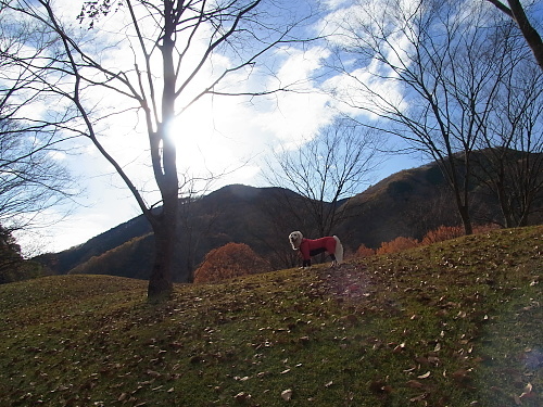 b0136381_18401665.jpg