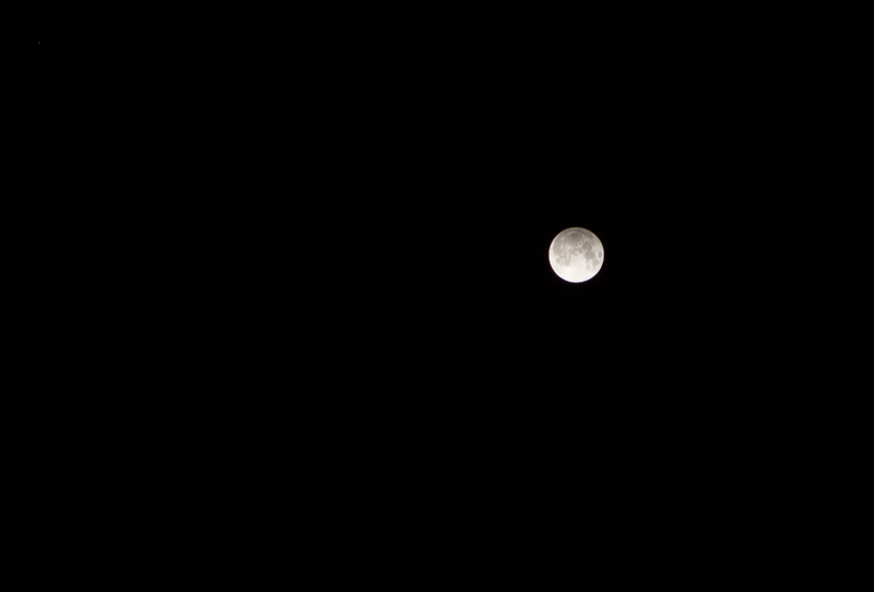 a0185693_1951097.jpg