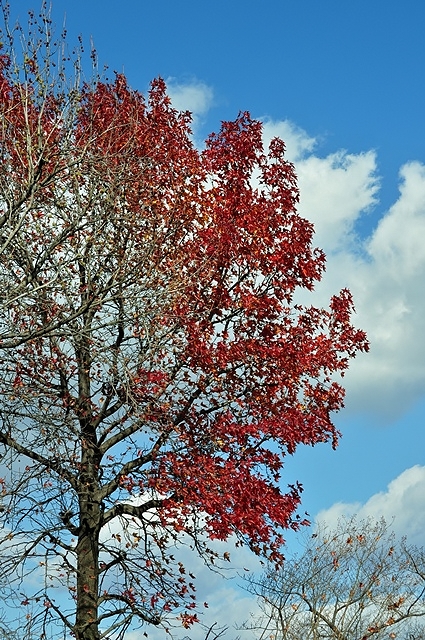 c0247096_227056.jpg