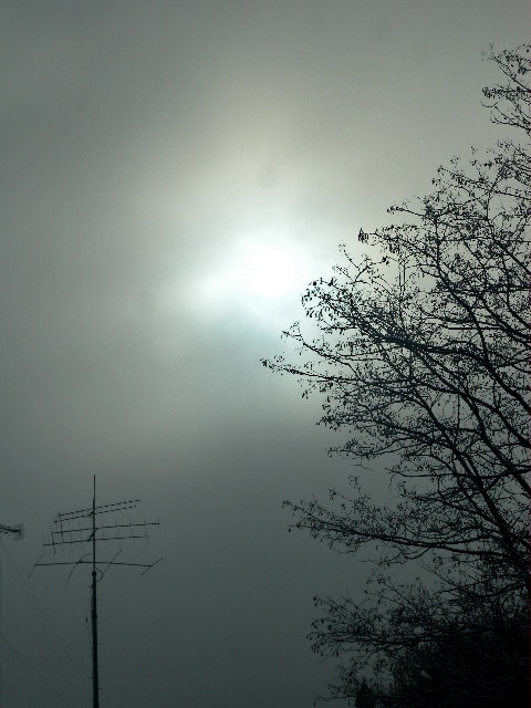 a0199297_281973.jpg