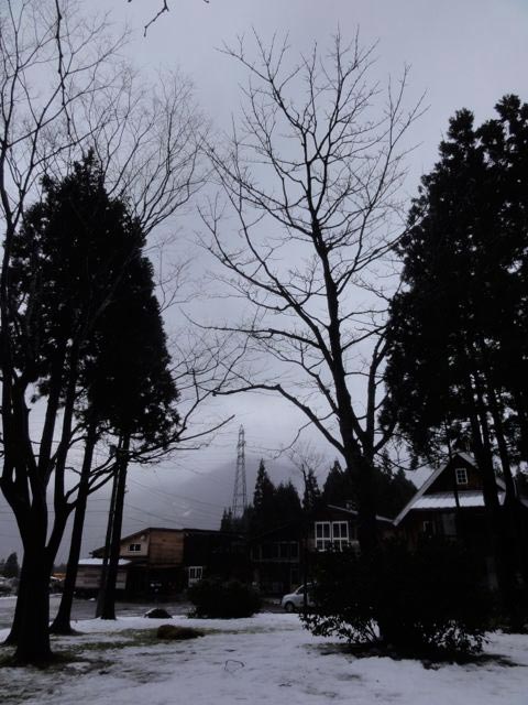 a0061599_75122.jpg