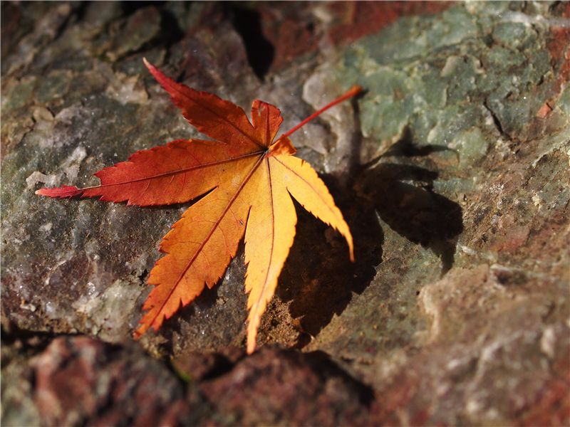 f0224100_23403581.jpg