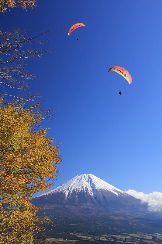 a0188405_8242810.jpg