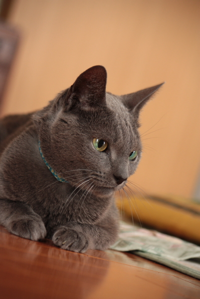 d0001008_8271211.jpg