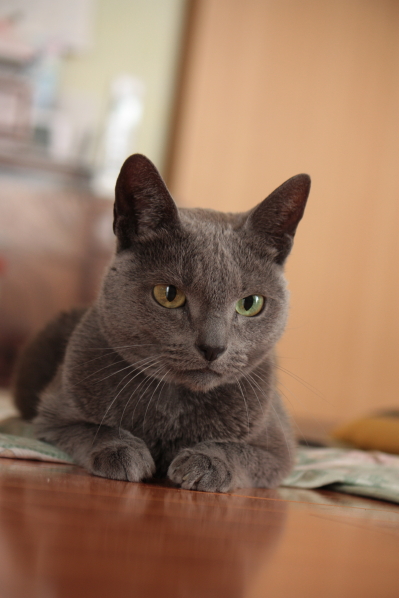 d0001008_8273899.jpg