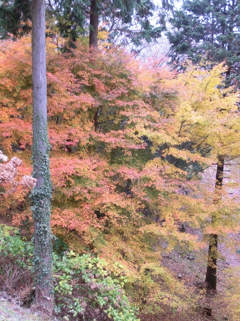 b0239909_22582433.jpg