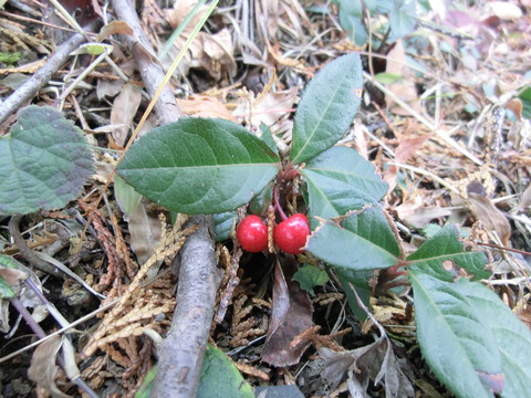 b0239909_22585770.jpg